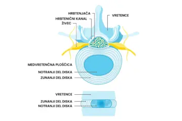 kakšna je vloga medvretenčne ploščice