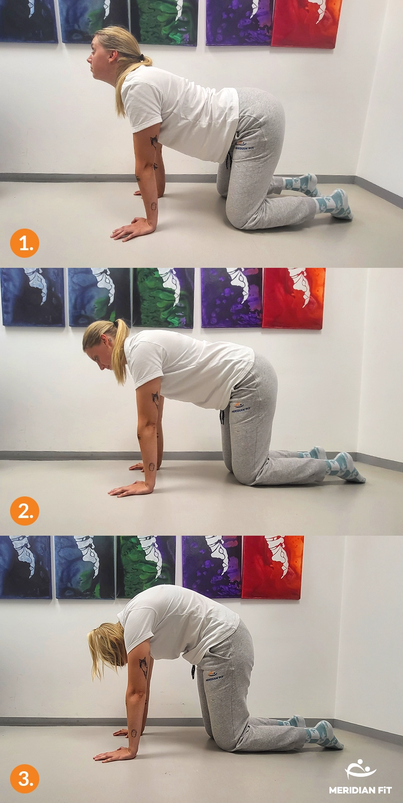 vaja pelvic tilt za bolecine v krizu